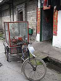 自治区调研组到我区进行养老保险重点指标专